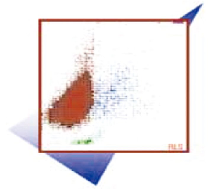 圖片點(diǎn)擊可在新窗口打開查看